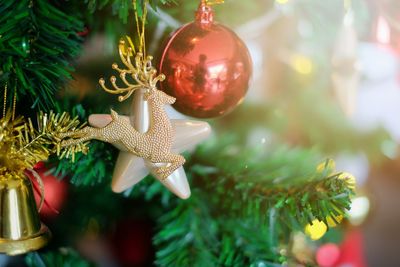 Close-up of christmas decoration hanging on tree