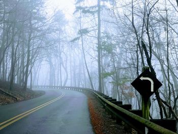 Road amidst trees against sky during winter