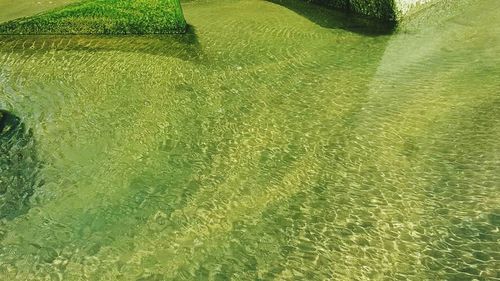 High angle view of green field