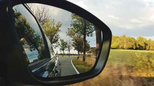 Reflection of trees on side-view mirror