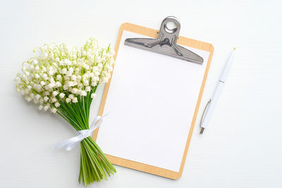 High angle view of potted plant on table against white background