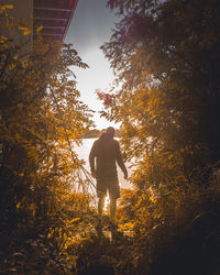 Rear view of man standing by trees against sky during autumn