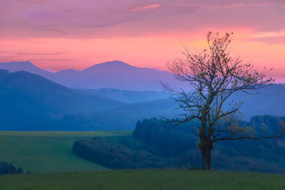 Scenic view of field against sky during sunset