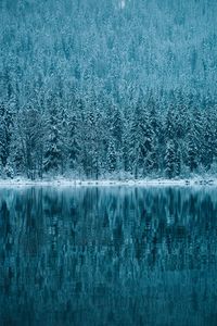 Scenic view of lake during winter