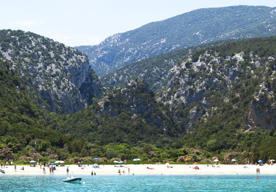 View of swans swimming in sea