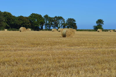 Hay bales on field against sky