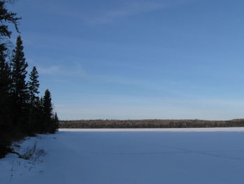 Scenic view of field against sky during winter