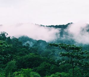 Scenic view of foggy mountain against sky