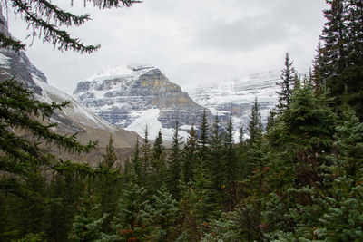Plain of six glaciers sunrise. sunlight hitting the mountain tops at dawn on a cloudy day, 