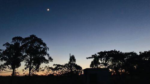 Silhouette trees against sky at night