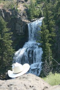 Scenic view of waterfall in forest