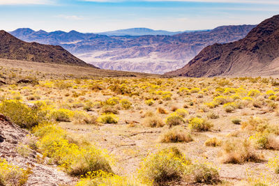 Scenic view of landscape and mountains against sky