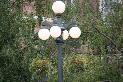 Street light and trees against sky