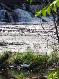 Scenic view of lake against rocks