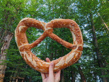 Close-up of hand holding heart shape