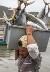 Rear view of man working