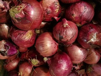 Full frame shot of pumpkins