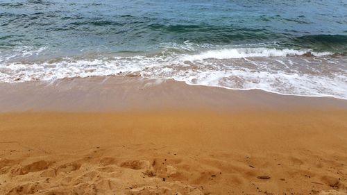 Scenic view of beach