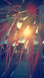 Sunlight streaming through plants on field against bright sun