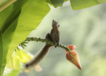 Bird perching on a tree