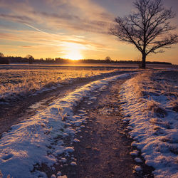 A beautiful winter morning landscape with a gravel road. bright, extra colorful scenery.