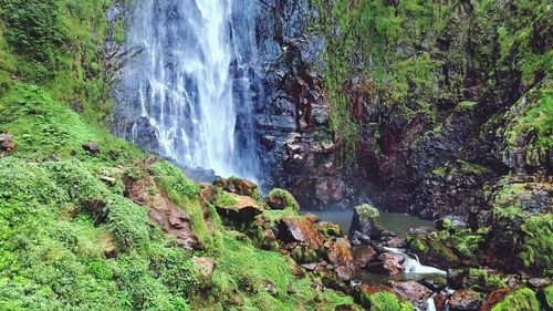 Scenic view of waterfall in forest