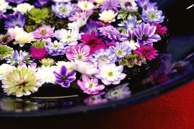 Close-up high angle view of flowers