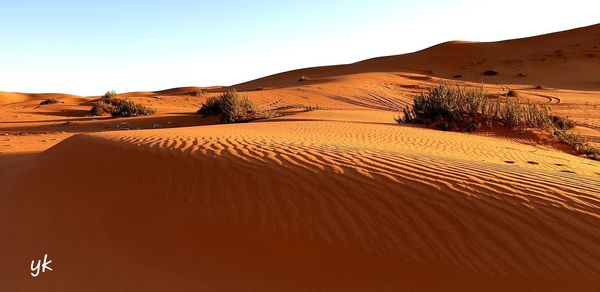 Scenic view of desert against clear sky