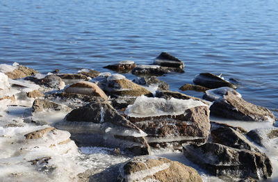 High angle view of rocks on beach