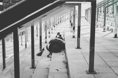 People sitting by dog on railroad tracks