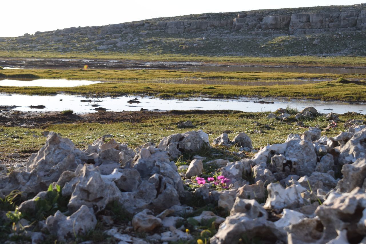 nature, no people, rock - object, outdoors, beauty in nature, day, water, lake, mountain, scenics, tranquility, flower, sky