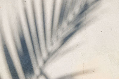 Close-up of shadow on wall