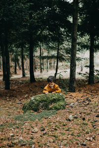 Child playing in the forest