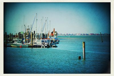 Sailboats moored at harbor