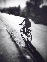 Man riding bicycle on road