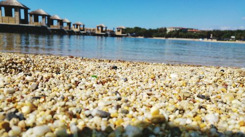 Surface level of pebbles in sea