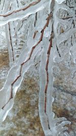 Close-up of frozen water