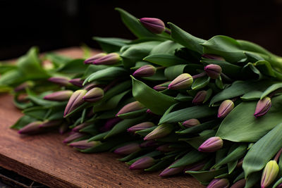 Close-up of fresh pink flowers on table