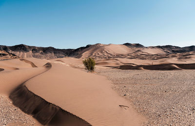 The formation of sand dunes in eastern part of dash e lut or sahara desert with sand dune 