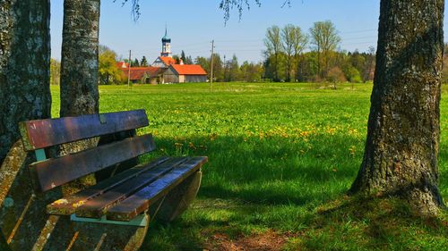 Bench on field against trees