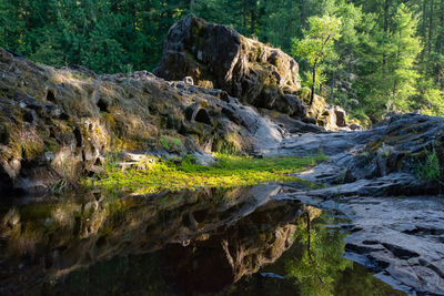 Stream flowing through rocks in forest