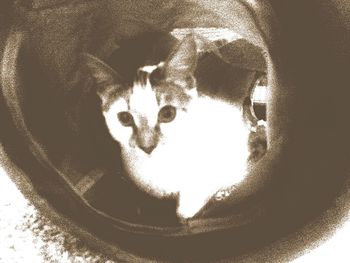 Reflection of people in water