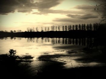 Silhouette of trees at sunset