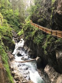 Scenic view of waterfall in forest