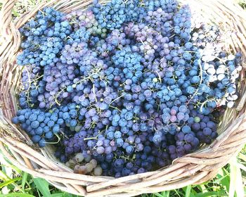 High angle view of vegetables in basket