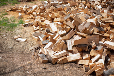 Stack of logs on field in forest