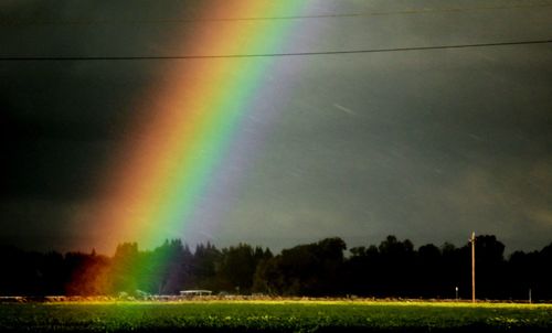 Scenic view of rainbow over field