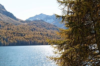 Scenic view of lake and mountains against clear sky