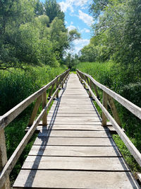 Rear view of man walking on footbridge against trees