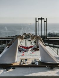Seagull perching on a boat